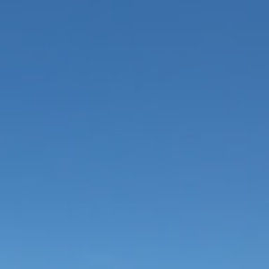 Meet your Posher, Lucy